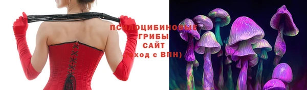молекула духа Алзамай