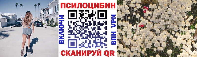 Купить закладки  Яровое  Галлюциногенные грибы мухоморы 
